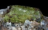 Apatite Crystal In Matrix - Durango, Mexico #33844-5
